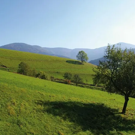 Zeitraum Ferienwohnung Tafelbuehl Elzach Esterno foto