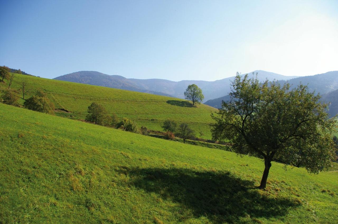 Zeitraum Tafelbuehl